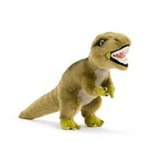 Load image into Gallery viewer, Dinosaur Plush by Demdaco
